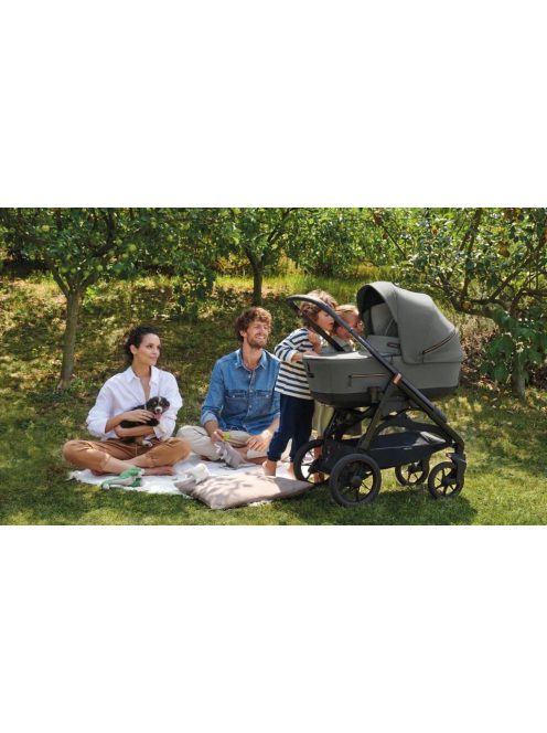 Babakocsi Inglesina Aptica XT Darwin Recline 4in1 Taiga Green
