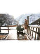 Babakocsi Inglesina Aptica XT Darwin 4in1 Sequioa Green