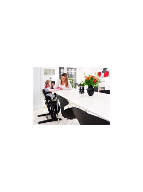 BabyDan DanChair fa etetőszék Black