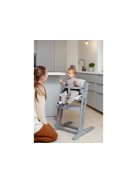 BabyDan DanChair fa etetőszék Grey
