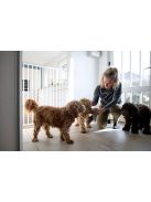 DogSpace Charlie extra magas  kapu 62-107cm, csavarozható, fehér fém