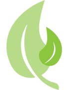 Nyomászáró BabyDan Tora, bükk/ezüst, FSC 100%