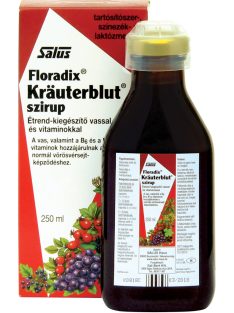 Salus floradix krauterblut szirup 250 ml