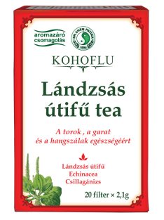 Dr.chen kohoflu lándzsás útifű teakeverék 20x2,1g