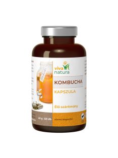 Viva natura kombucha étrend-kiegészítő kapszula 60 db