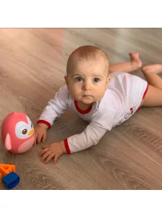 Keljfeljancsi játék Baby Mix pingvin rózsaszín