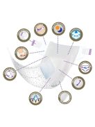 MEGAPACK Gyermek eldobható pelenka New Love Premium comfort 3 MIDI 4-9 kg 5x48 db