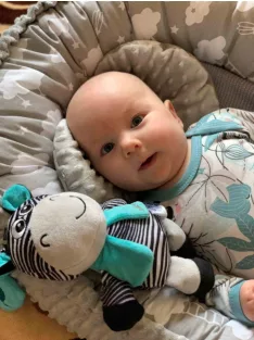 Fejlesztő zenélő játék Baby Mix zebra
