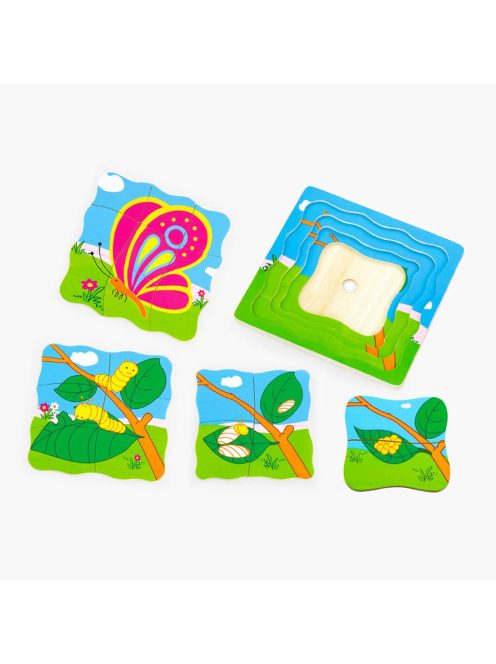 Fa puzzle  Viga lepke fejlődése