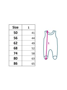 Baba rugdalózó New Baby Classic II cars