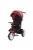 Lorelli Jaguar EVA tricikli - Red & Black Luxe