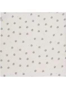   Witlof for Kids muszlin pelenka 65 x 65 cm, 2 db Little Charm