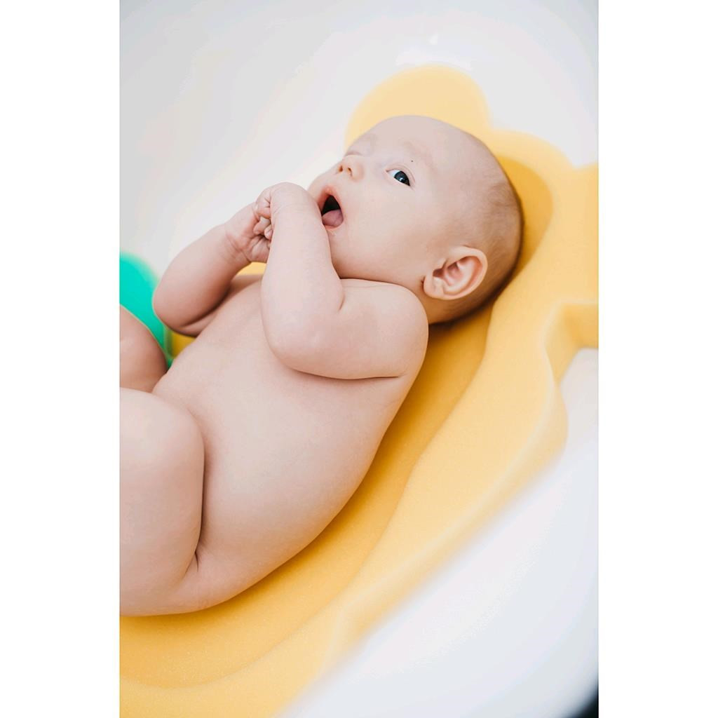 Hab alátét maxi New Baby BASIC medve zöld